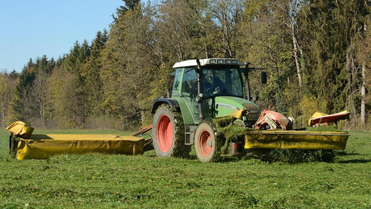 Ferienhof Weber Nieratz Wangen im Allgäu Exterior foto