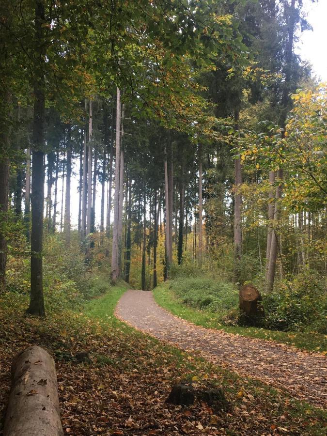 Ferienhof Weber Nieratz Wangen im Allgäu Exterior foto