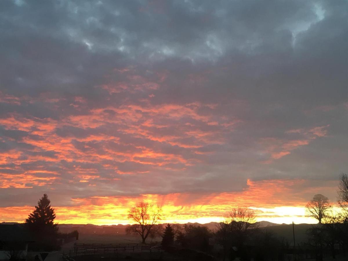 Ferienhof Weber Nieratz Wangen im Allgäu Exterior foto