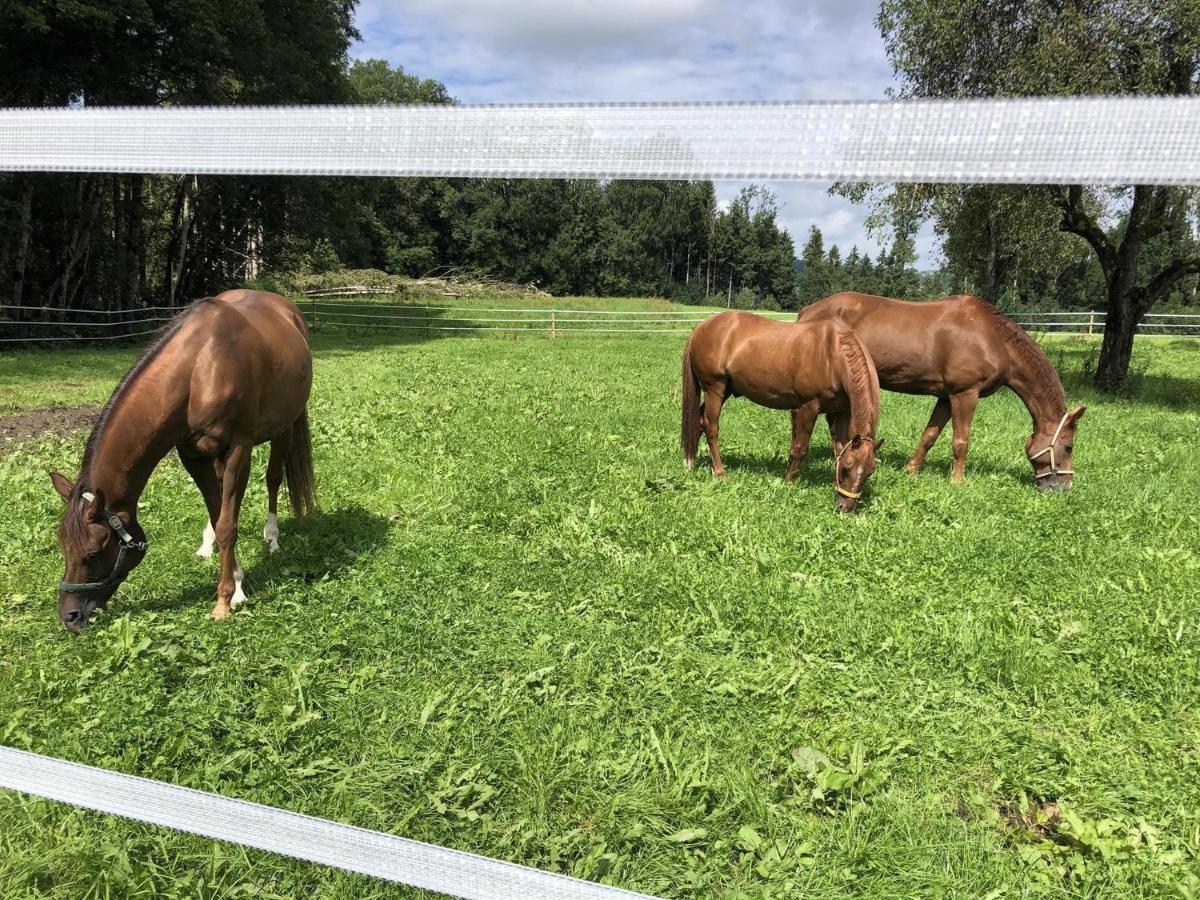 Ferienhof Weber Nieratz Wangen im Allgäu Exterior foto
