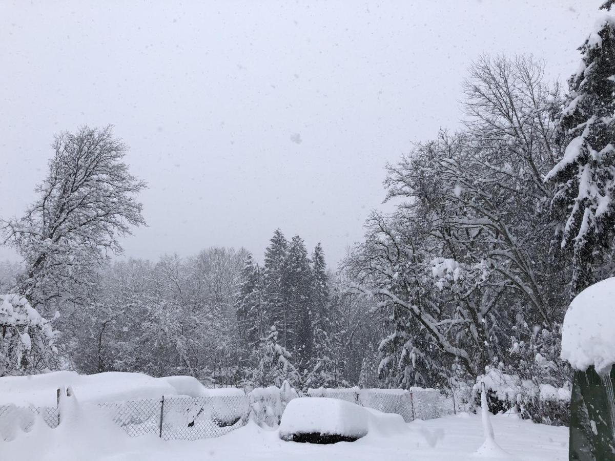 Ferienhof Weber Nieratz Wangen im Allgäu Exterior foto