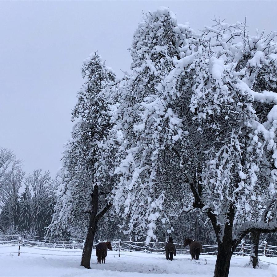 Ferienhof Weber Nieratz Wangen im Allgäu Exterior foto